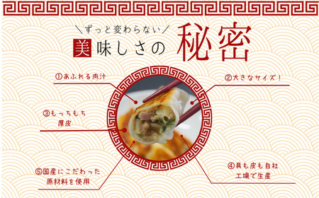 訳あり 食べ比べ餃子セット（冷凍　肉・野菜餃子）：8パック 中華