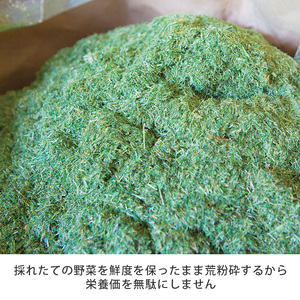 シリーズ累計販売数11億杯を突破した美味しく続けやすい「青汁三昧」×10か月分 　野菜不足  おいしい青汁 手軽な青汁 青汁 健康維持 大麦若葉 栄養 毎日 野菜 栄養機能食品 スティック 粉末 サポート 国産 体内環境 抹茶味 個包装
