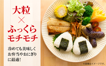 令和7年産 さがびより 無洗米 白米 5kg / 佐賀県 / 株式会社森光商店 [41ACBW019]