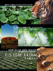 フェイスパック 大容量 60枚 個包装 国産 メンズ エッセンスマスク モテライ ケア mote-rai オールインワン まとめ買い 日本製 ソアリコスメ 山陽物産｜B203
