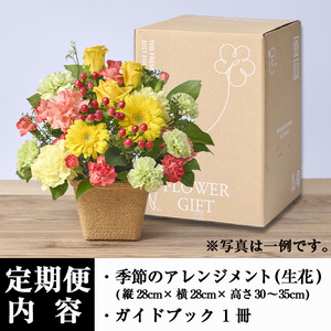 ＜定期便・3回(連続)＞季節のお楽しみフラワーアレンジメント(生花：Mサイズ)花 花束 フラワー ギフト 贈り物 インテリア【FM-28】【フラワーショップまつだ】