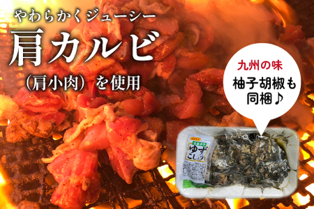 【テレビで紹介！元祖ざる焼き小林養鶏】やわらか炭火焼100g×10Pセット 薬味付き（国産 鶏 鶏肉 小分け 炭火焼 惣菜 調理済 冷凍 宮崎 小林市） 鶏炭火焼 鶏炭火焼 鶏炭火焼 鶏炭火焼 鶏炭火焼