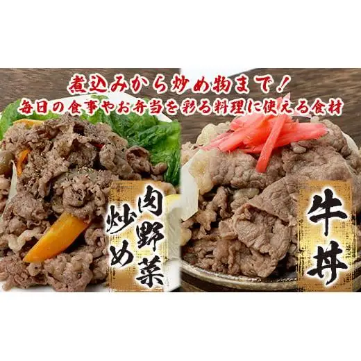 石垣島産 黒毛和牛 新里牛 多用途抜群！ 切落し (500g×2) 合計1kg SZ-12