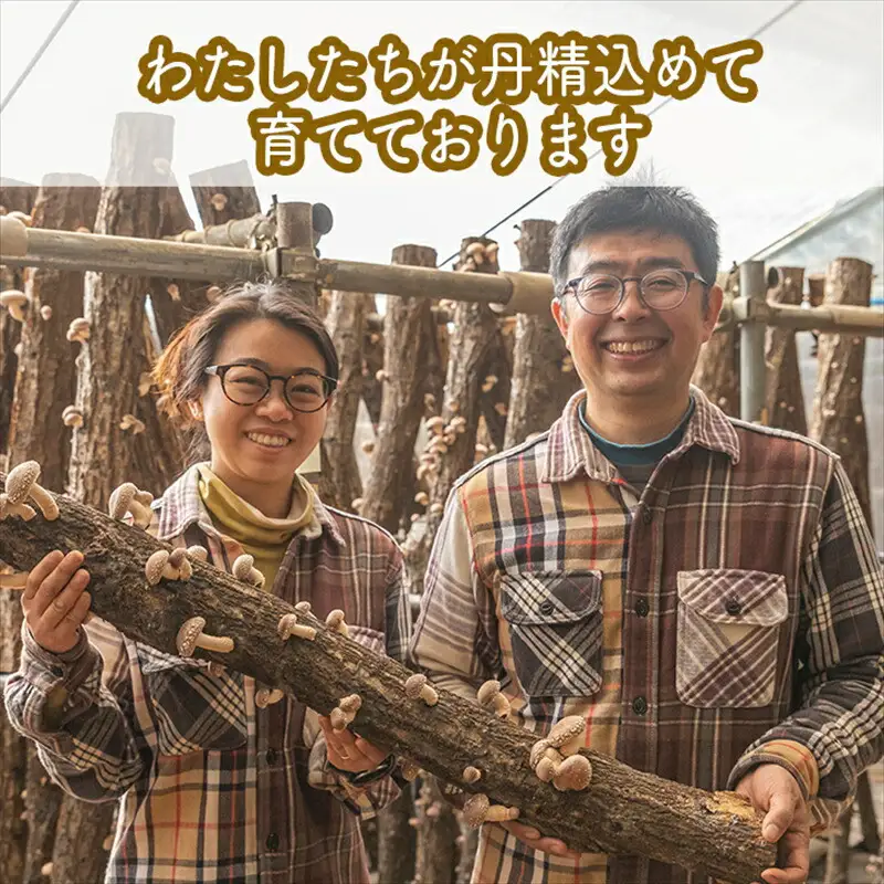 ご飯のお供に贅沢セットA。おかず４種レギュラーセット【家庭用 自宅用 贈答品 贈答用 ギフト お取り寄せ お中元 お歳暮 贈り物 お祝い 神奈川県 小田原市 椎茸 椎茸 】