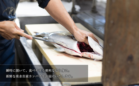 C3-6401／【鹿児島県垂水市産】カンパチ（１匹）　甘口さしみ醤油付き