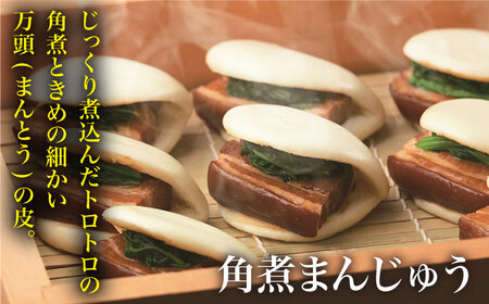 【具材付】長崎ちゃんぽん4食・角煮まんじゅう4個　詰合せ  [DBD045] セット