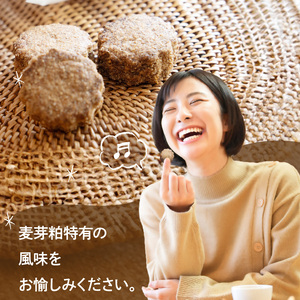 お腹ピカピカ 麦芽粕(モルト)クッキー 1袋5コ入×10袋