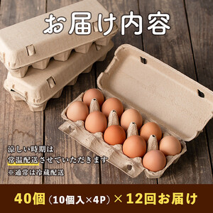 isa529 【定期便】いちき農園のこだわり卵(計480個・40個×12カ月) 平飼い 鶏 たまご 卵 タマゴ 低コレステロール 抗生物質不使用 卵かけご飯 TKG 定期便【いちき農園】【isa529】