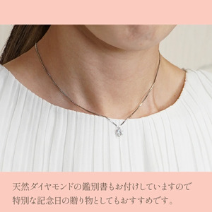 プラチナ　六本爪　ダイヤ　1.0ct  ネックレス　管理番号254978　×1本 218-002