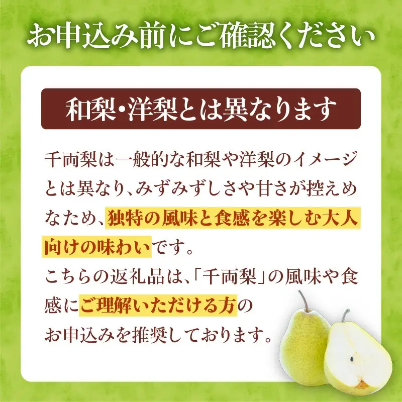 【2026年9月下旬以降発送】千両梨 5kg箱(10玉)北海道産 余市町産　シャキシャキとした食感とサッパリとした甘みが特徴 季節限定 千両梨 季節の味覚 5kg 箱 梨 ほぼ余市町でしか生産されていない 果物 フルーツ 贈り物 ギフト フルーツギフト お取り寄せ 北海道 余市町産 送料無料_Y015-0036