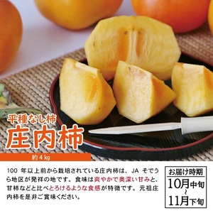 SC0628　【3回定期便】自然の恵み　春・夏・秋フルーツ定期便2026 (いちご、青肉メロン、柿)