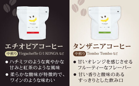 コーヒー[豆]12回定期 自家焙煎スペシャルティコーヒー豆(250g×2種)約40杯分ZCJ020