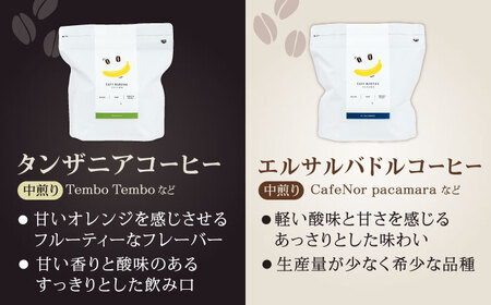 コーヒー[豆]12回定期 自家焙煎スペシャルティコーヒー豆(250g×4種)約80杯分ZCJ018