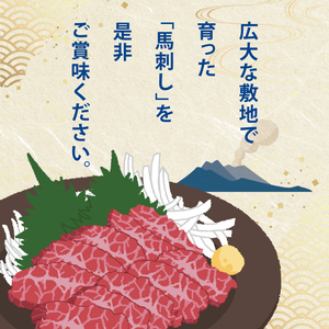 国内肥育 馬刺し 熊本発送 上霜降り（ トロ ） 300ｇ + 赤身 300ｇ 合計 600ｇ 馬刺し醤油・生姜付き 馬肉