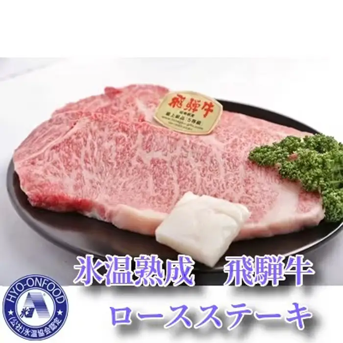 【3ヵ月毎定期便】氷温（R）熟成飛騨牛セット　全4回 [No.902]