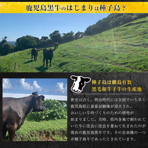 種子島 生まれ！ 黒毛 和牛 モモステーキ 120g×4枚　NFN546 【750pt 】 