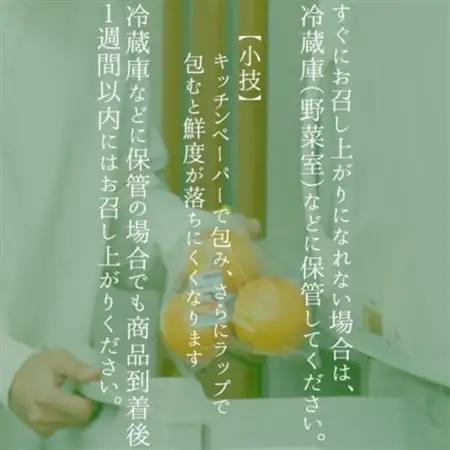 【2026年発送先行受付】いすみ市産あきづき梨　約5kg(11～12個)_果物・フルーツ 和梨 梨 わなし ワナシ_【1462342】