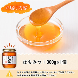 n234 数量限定 種子島産 蜂蜜 300g 国産 ハチミツ 垂れ蜜 百花蜜 【ひさちゃん養蜂園】