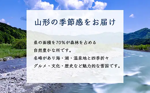 【先行予約2026年発送】 南水梨 8玉～16玉 5kg 【2026年9月から発送】 なし ナシ 梨 デザート フルーツ 果物 くだもの 果実 食品 山形県 FSY-2584