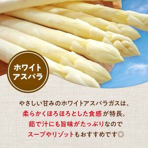 【先行予約】令和8年産 ホワイトアスパラガス（2Lサイズ） 2kg アスパラ F4G-0337