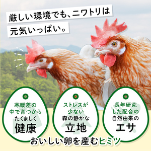 ＜定期便＞【Mサイズ 20個×6ヶ月コース】20個（18個＋割れ補償2個） 安心・安全な『下川六〇酵素卵』を毎日の食卓に！ 下川ろくまる あべ養鶏場 割れ補償付き ブランド卵 たまご F4G-0298