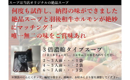 羽後和牛もつ鍋セット6～7人前 しょうゆ味 鍋物 グルメ 新鮮ホルモン 夕飯 集まり イベント 女子会 忘年会 新年会 鍋料理 