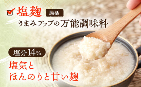 【3回定期便】さきちオリジナル 贅沢腸活3点セット（生あまざけ 100g×30本・手作り糀のげんき味噌・食材のうまみ倍増 塩糀） [OBF038]