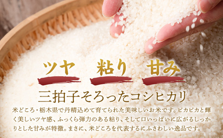 令和7年産 米 お米 コシヒカリ うまかん米 3ヶ月 定期便 5kg JAおやま 《30日以内に出荷予定(土日祝除く)》 栃木県 野木町産 コメ 米 ブランド米 こしひかり【栃木県共通返礼品】