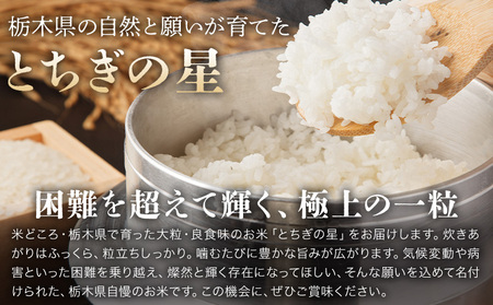 令和7年産 米 お米 とちぎの星 3ヶ月定期便 5kg JAおやま《30日以内に出荷予定(土日祝除く)》 栃木県 野木町産 コメ 米 ブランド米 とちぎのほし【栃木県共通返礼品】