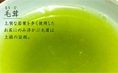 【全3回定期便】奥八女星野村 八女茶 伝統本玉露[50g]×2袋 [ABDF109] 