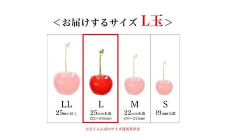 【2026年産 先行予約】山形県産さくらんぼ 佐藤錦 秀品 L玉 1kg (500g×2パック) 化粧箱入り FSY-2199