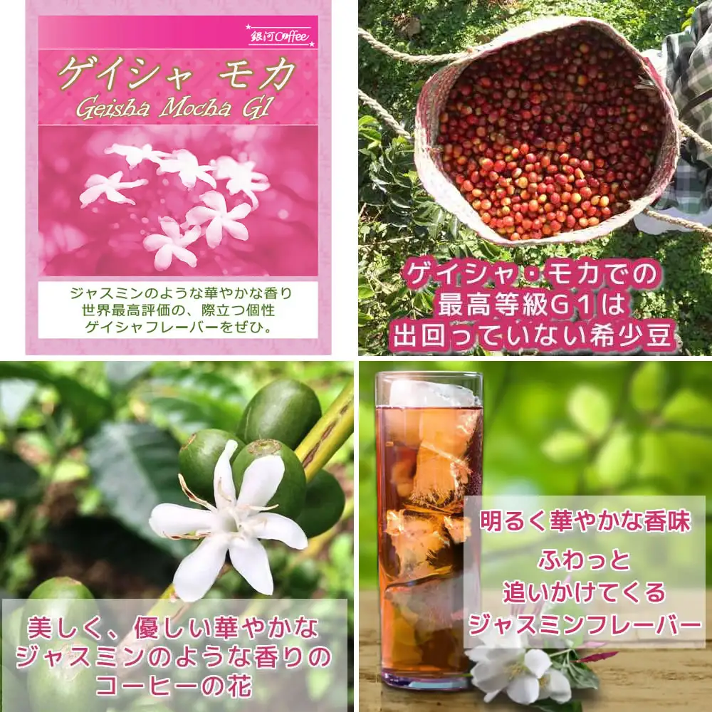 【12203-0127】水出し珈琲セット（お手軽版） 生涯で飲みたい 世界３大コーヒー80g×3種 銀河コーヒー ふるさと納税 市川市 返礼品