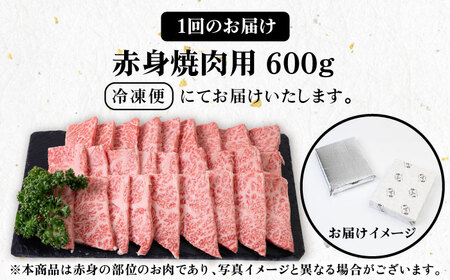 【全6回定期便】 《A4〜A5ランク》壱岐牛 赤身 600g（焼肉用）[JBO108] 牛肉 赤身