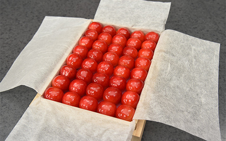 【2026年産 先行予約】山形県産さくらんぼ 紅秀峰 特秀 2L玉 300g 鏡詰め 桐箱入り FSY-1093