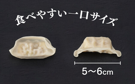 Z263.福岡・博多の味『博多一口餃子』４０個入（４０個入×１Ｐ）