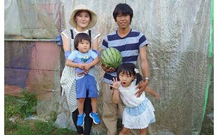 【植木産】熊本スイカ (祭ばやし) 7~8kg前後 スイカ 果物【2026年5月下旬～6月上旬迄順次発送予定】