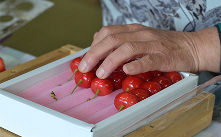 【2026年産 先行予約】山形県産さくらんぼ 紅秀峰 特秀 3L玉 300g 鏡詰め 化粧箱入り FSY-1096