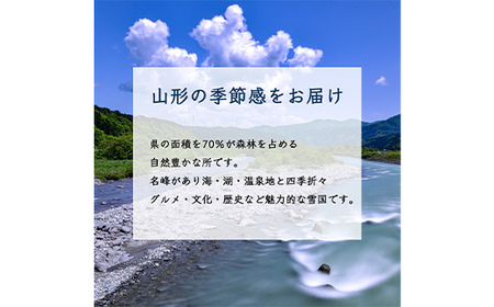 【先行予約2026年発送】西洋梨 7玉～16玉 5kg《品種指定はできません》 なし ナシ 梨 デザート フルーツ 果物 くだもの 果実 食品 山形県 FSY-2708