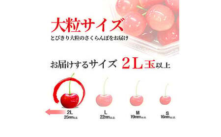【令和8年産 先行予約】山形県産さくらんぼ 紅秀峰 特秀 2L玉 24粒 化粧箱入り FSY-1097