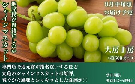 フルーツ 定期便 4回 いちご 桃 シャインマスカット みかん 果物