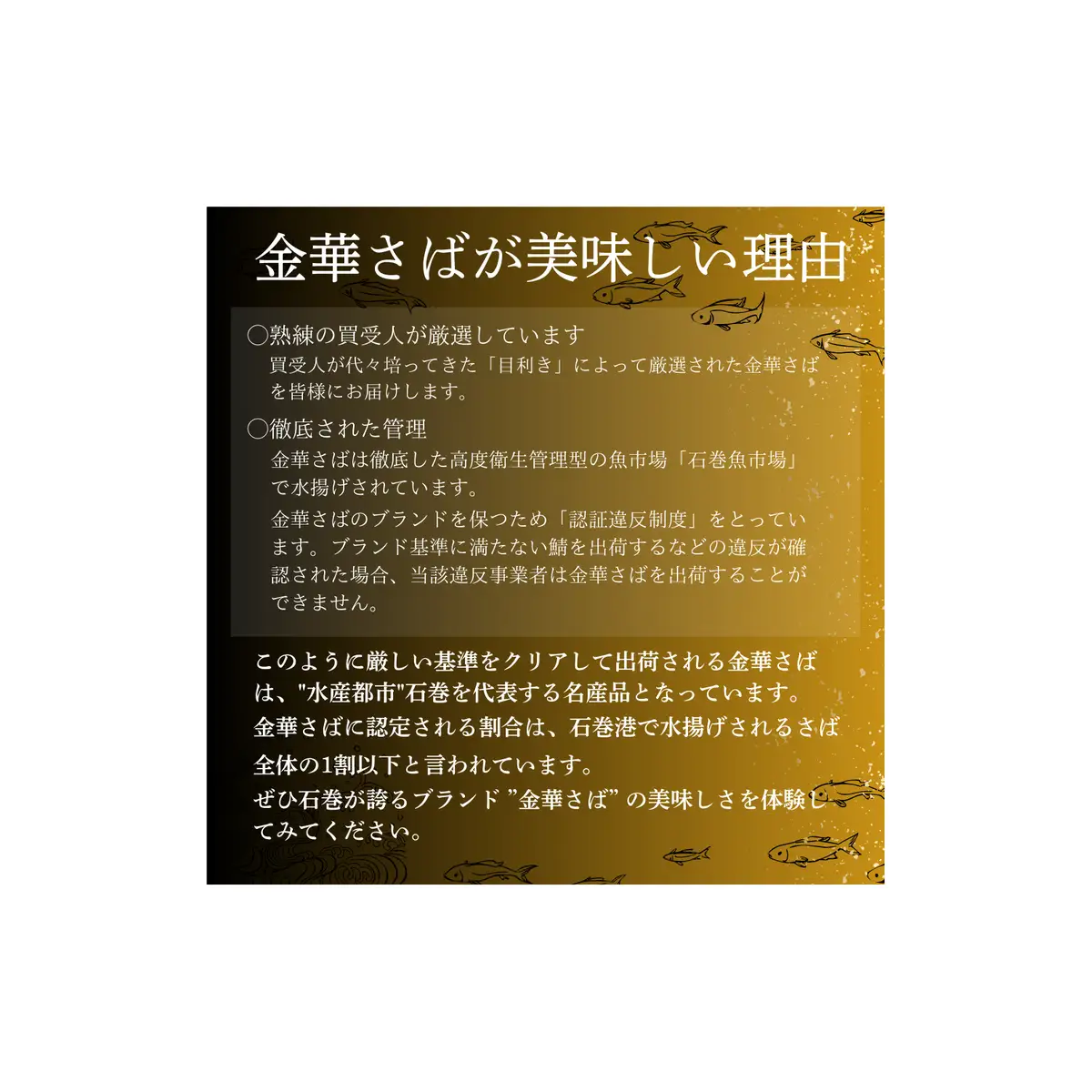 金華さばセット（ 金華さば生ハム燻製 ・ 金華炙りしめさば ・ 金華さば漬け丼 ）国産 鯖 さば 冷凍 惣菜 お惣菜 宮城県 石巻市