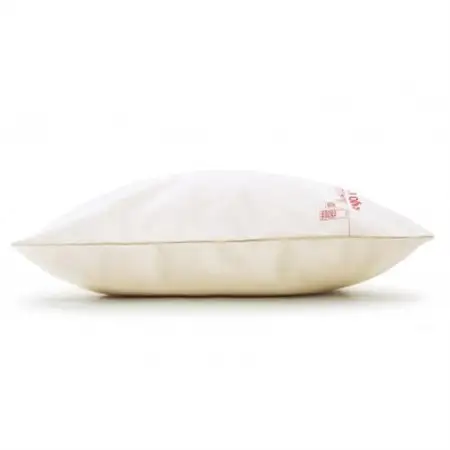 テンピュール(R) オリジナル クッション 安城市デザイン【73014497】【1467903】