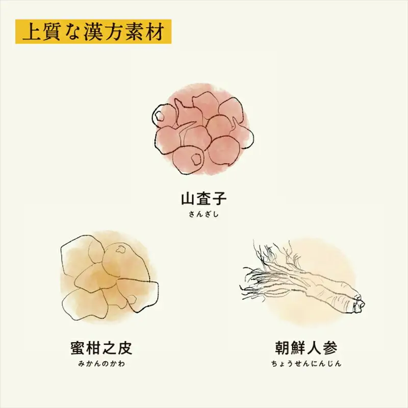 濃厚梅エキスと漢方のシロップ「うめびん（杉田梅） by Kampo Kitchen」【 家庭用 自宅用 贈答品 贈答用 ギフト お取り寄せ お中元 お歳暮 贈り物 お祝い 神奈川県 小田原市  梅 梅 】