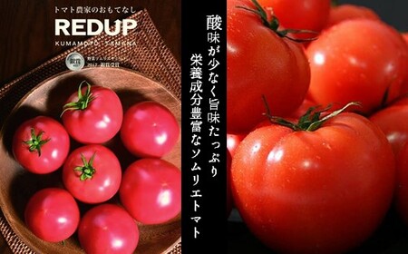 【特別栽培農産物】大玉 訳あり ソムリエトマト 約 6kg ～ 10kg (約3kg～5kg × 2箱) | ミニトマト トマト とまと 熊本県 玉名市 野菜