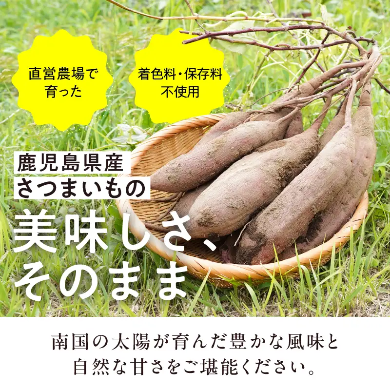 1230-3 フェスティバロ 唐芋 レアケーキ 特選 4本セット（ ラブリー / リンド / カプレス / シュリ ） KN023-002 菓子 ケーキ