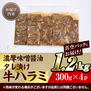 濃厚味噌醤油 タレ漬け牛ハラミ(サガリ)肉 小分け 個包装で便利！ (合計1.2kg・300g×4p) 牛肉 焼くだけ 簡単 焼肉 焼き肉 やきにく 厚切り 肉厚 冷凍 BBQ 希少部位 【BD300】【西日本畜産 (株)】