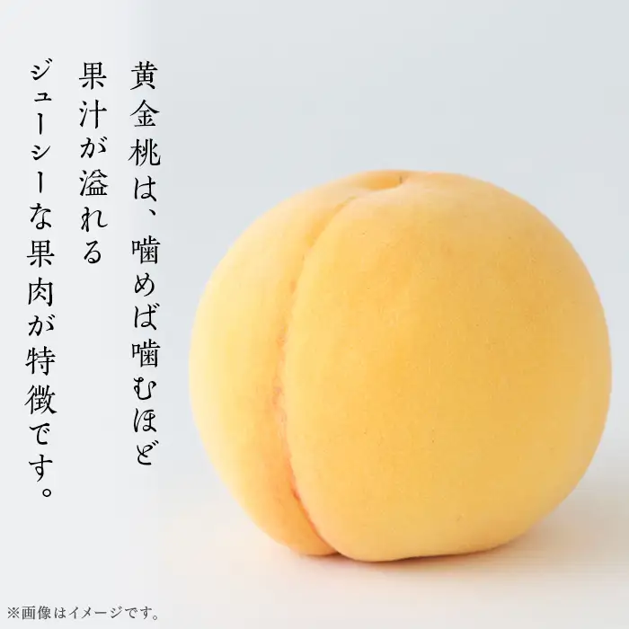岡山の桃 食べ比べ定期便（年3回）【2026年産】