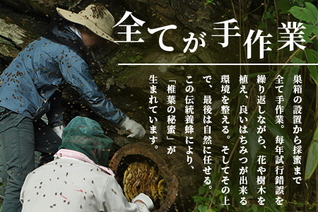 【秘境を味わう】【7営業日以内発送】椎葉の秘蜜 【150g×4本】国産天然はちみつ【数量限定】蜂蜜 はちみつ ハチミツ 養蜂 国産 天然 百花蜜 希少 150g 600g MS-09