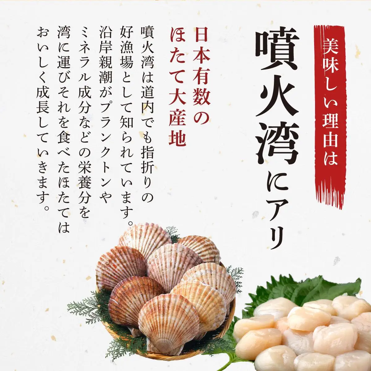 北海道 噴火湾産 ほたて貝柱 玉冷 1kg 約80粒 5S ほたて ホタテ 帆立 冷凍 貝柱 海産物 海鮮  海鮮丼 貝 魚介 寿司 刺身 バター焼き ギフト グルメ 送料無料
