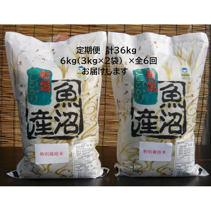 【令和７年産】6か月定期便　がんこおやじが作った南魚沼産コシヒカリ白米６kg（３kg×２袋）【定期便 銘柄米 ブランド米 精米 こしひかり コシヒカリ 魚沼産 新潟米 産地直送 お米 米 こめ コメ ご飯 御飯 ごはん】